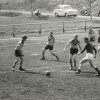 144_u2_t1244371003_g